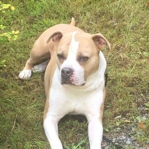 Meet your Posher, Mara